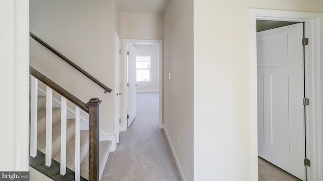 interior space featuring light carpet