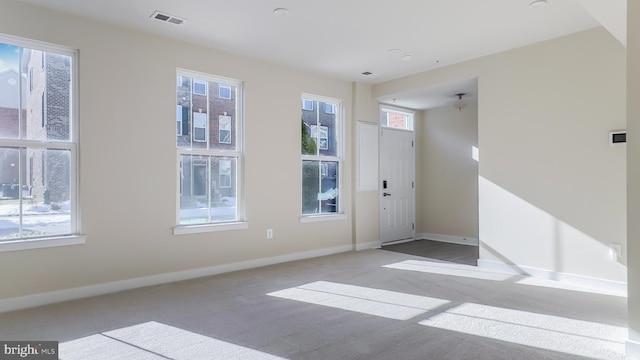 interior space featuring a healthy amount of sunlight and light carpet