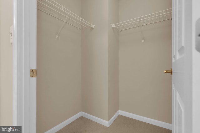 spacious closet featuring light colored carpet