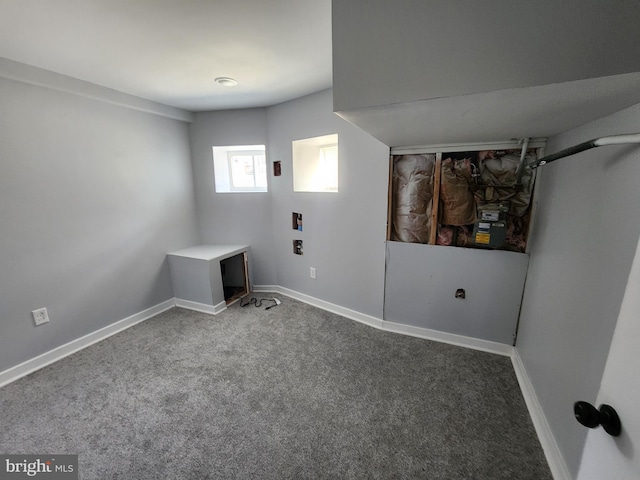 clothes washing area featuring carpet flooring