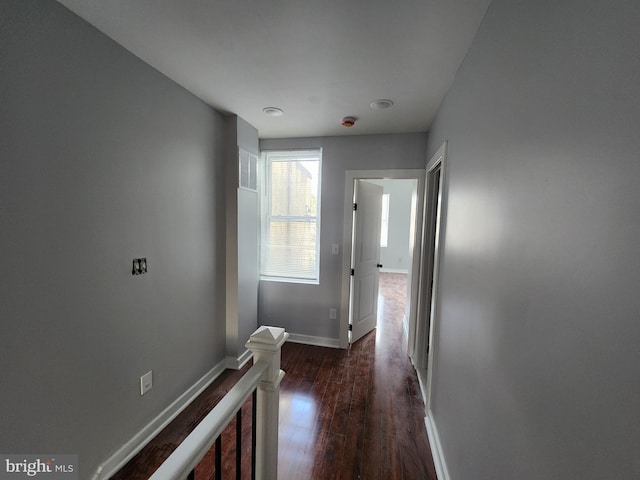 hall with dark wood-type flooring