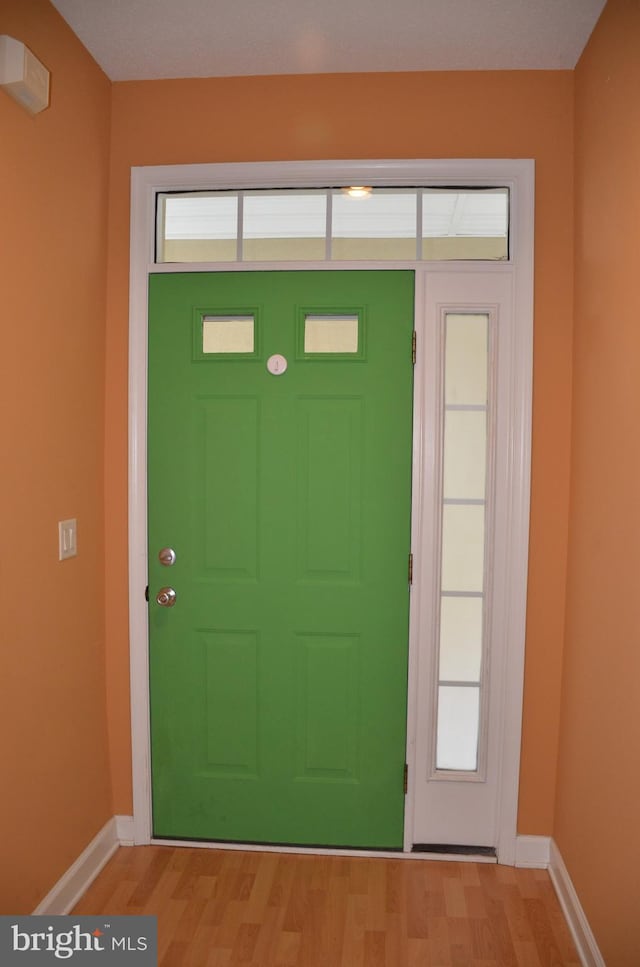 entryway featuring light wood-type flooring and a healthy amount of sunlight