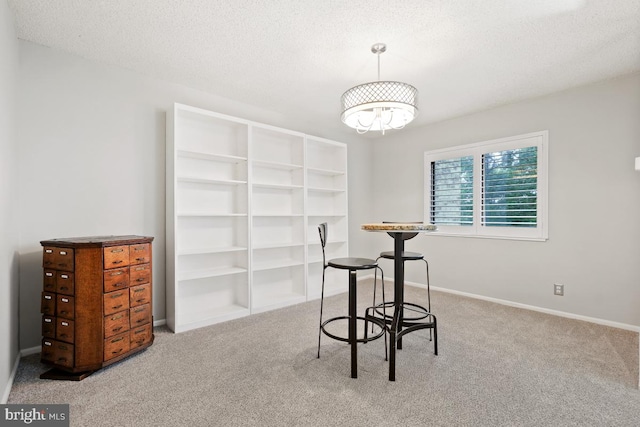 carpeted dining area with built in shelves and a textured ceiling