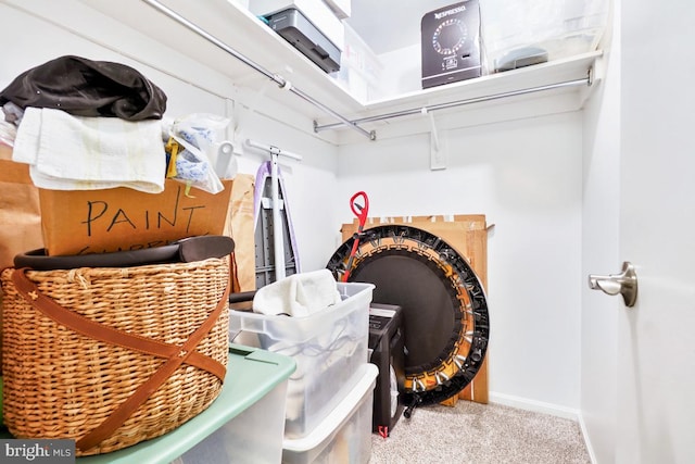 walk in closet with carpet floors