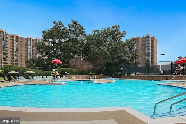 view of pool with a patio area