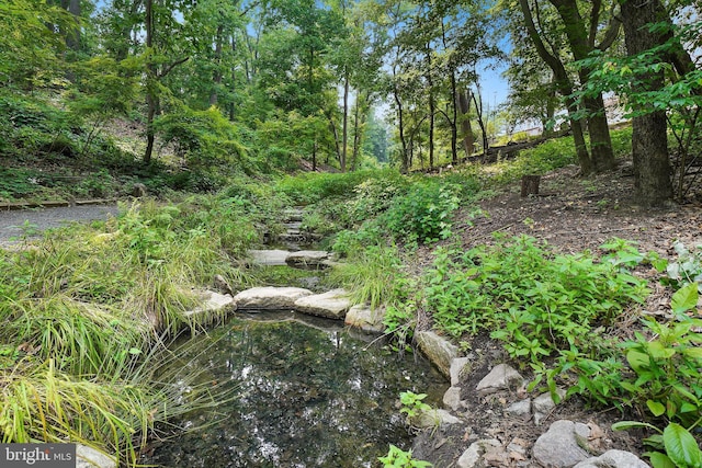 view of nature