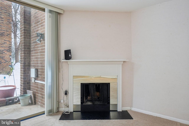 details with a premium fireplace and carpet floors