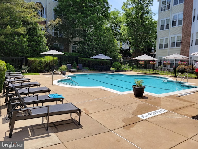 view of swimming pool with a patio