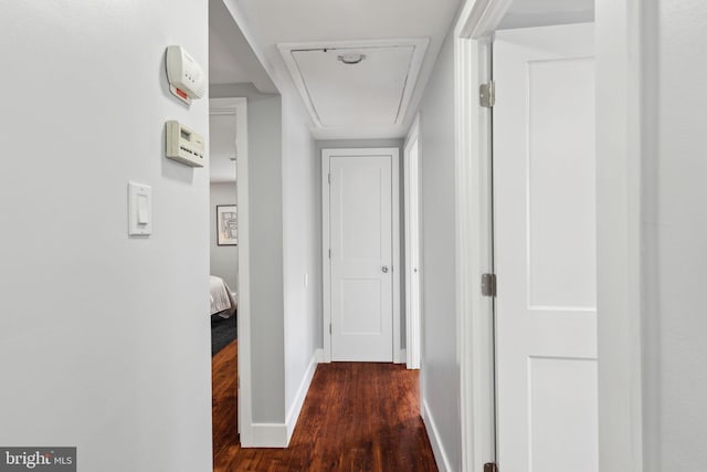 hall featuring dark wood-type flooring