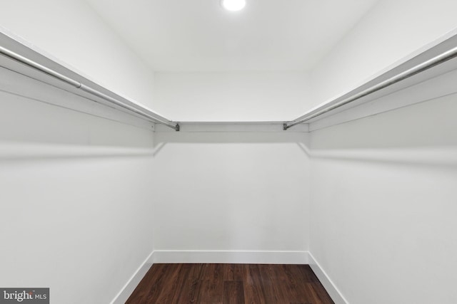 walk in closet with dark hardwood / wood-style floors