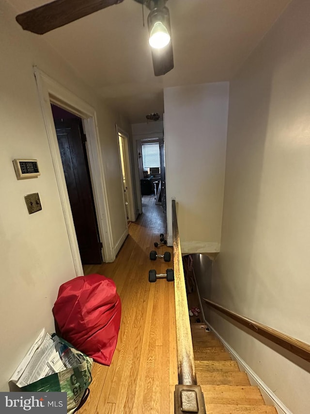 hall featuring light hardwood / wood-style floors