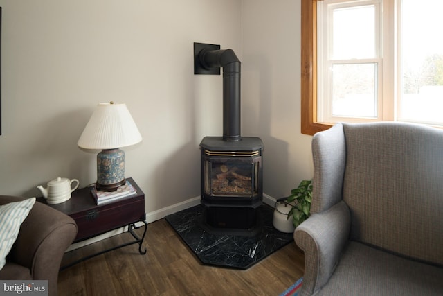 details with a wood stove and wood-type flooring