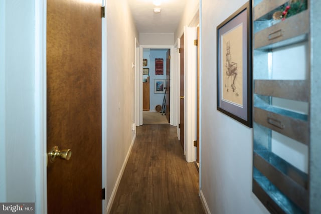 corridor featuring dark hardwood / wood-style flooring