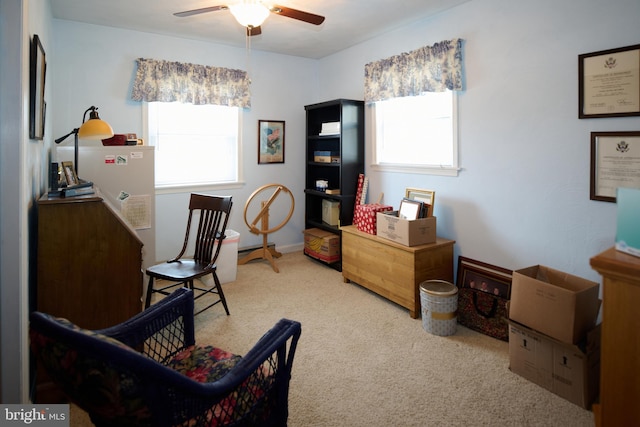 carpeted office space featuring ceiling fan