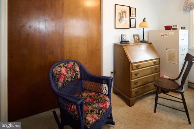 sitting room with light carpet