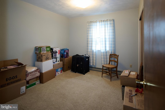 interior space with carpet flooring