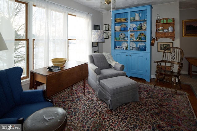 living area with ceiling fan