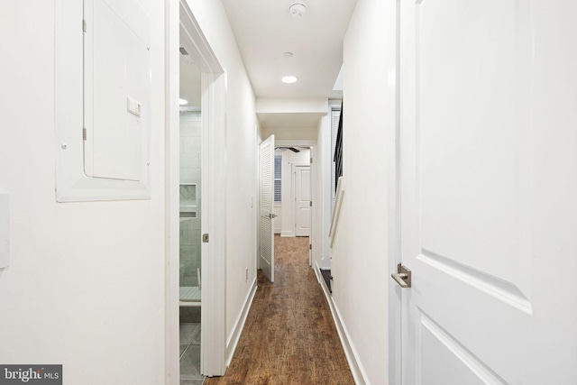 hall featuring electric panel and dark hardwood / wood-style flooring