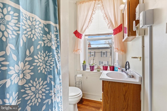 bathroom featuring vanity, hardwood / wood-style flooring, and toilet