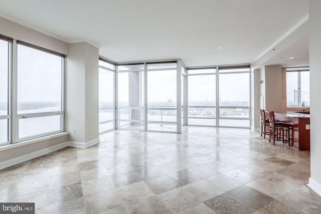 empty room featuring crown molding, floor to ceiling windows, plenty of natural light, and baseboards