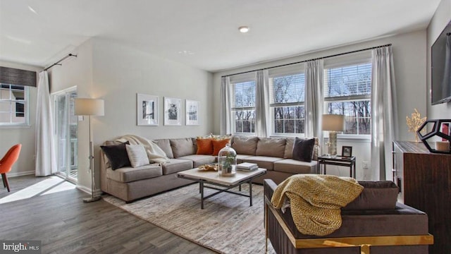 living room with hardwood / wood-style floors