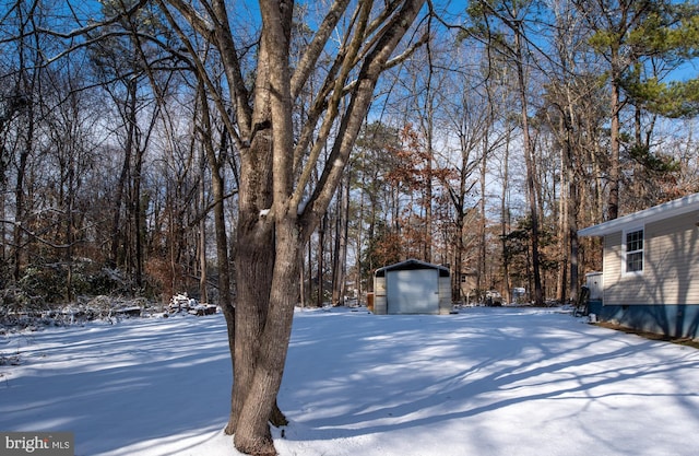 yard covered in snow with a garage and an outbuilding