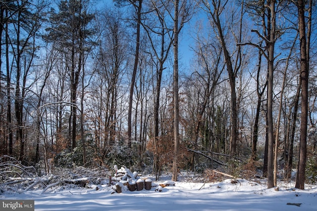 view of snowy view