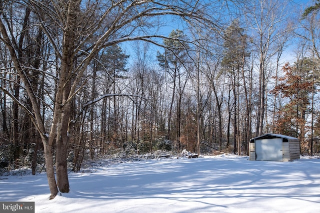 yard layered in snow with an outbuilding