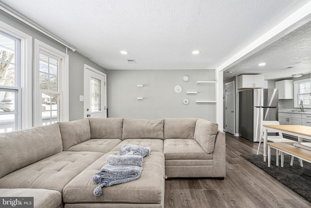 living room with sink, a textured ceiling, and hardwood / wood-style flooring