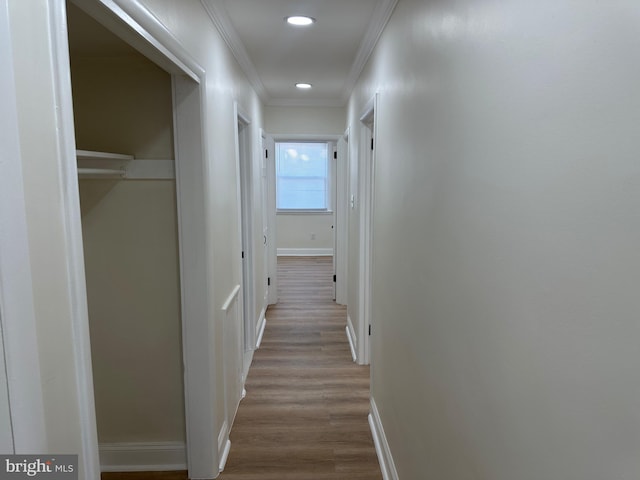 corridor featuring wood-type flooring and ornamental molding