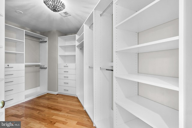 spacious closet with visible vents and light wood-type flooring