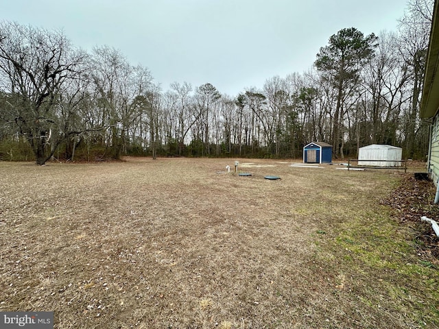 view of yard featuring a shed