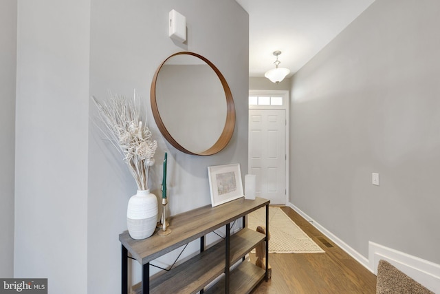 entryway featuring wood-type flooring