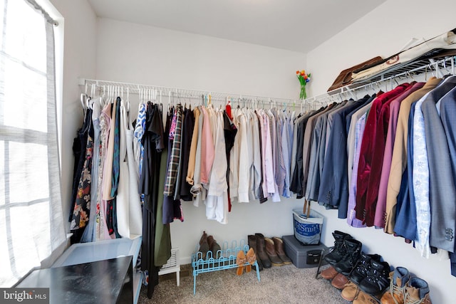 walk in closet featuring carpet flooring