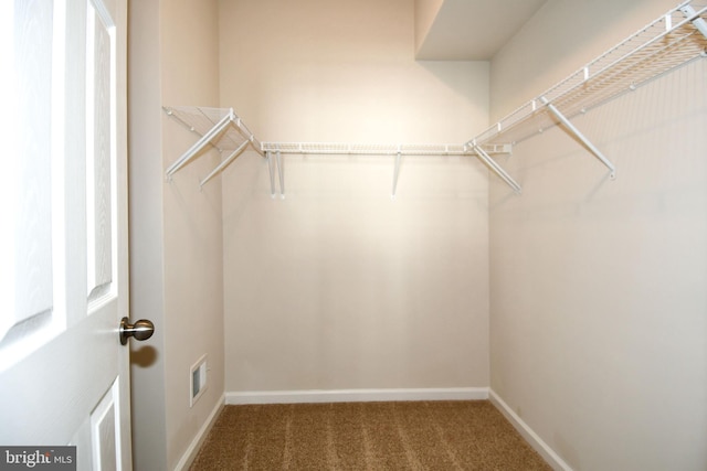 walk in closet with carpet flooring