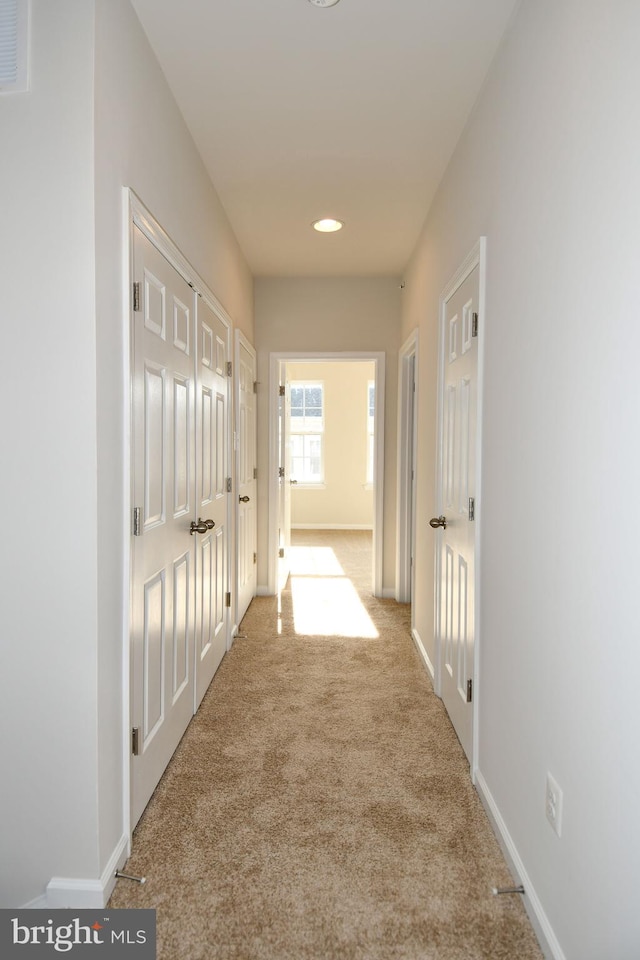 corridor with light carpet