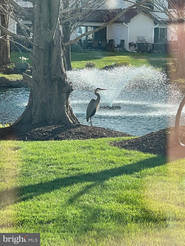 view of water feature