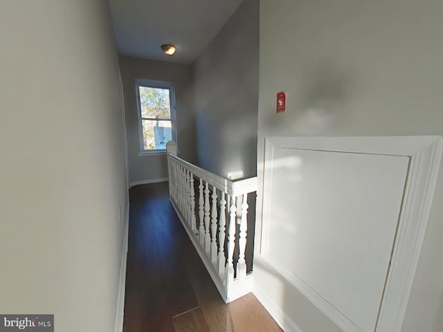 corridor with dark wood-type flooring