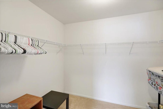 spacious closet featuring light colored carpet