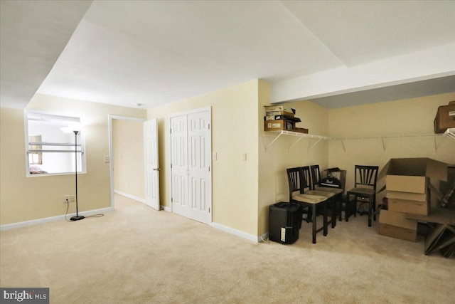 interior space with light colored carpet