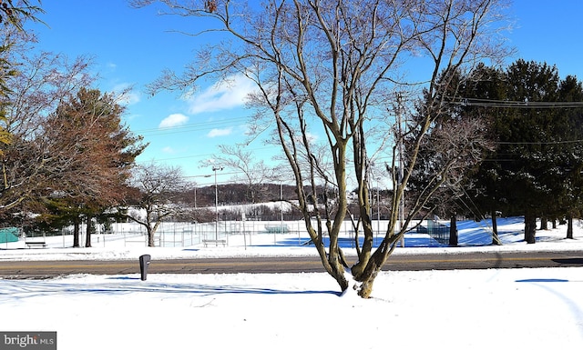 view of yard layered in snow