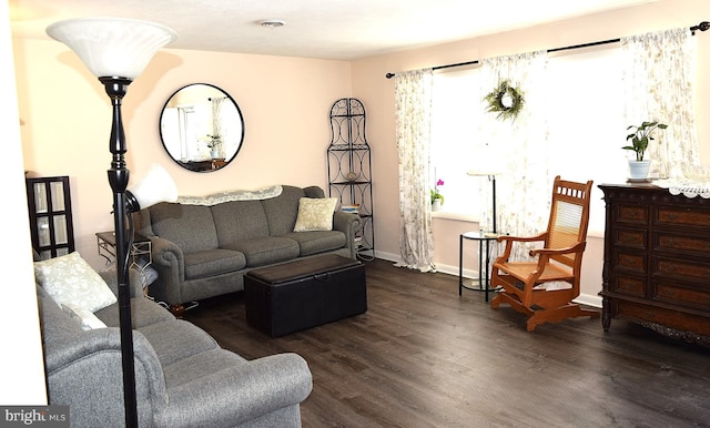 living room featuring dark hardwood / wood-style flooring