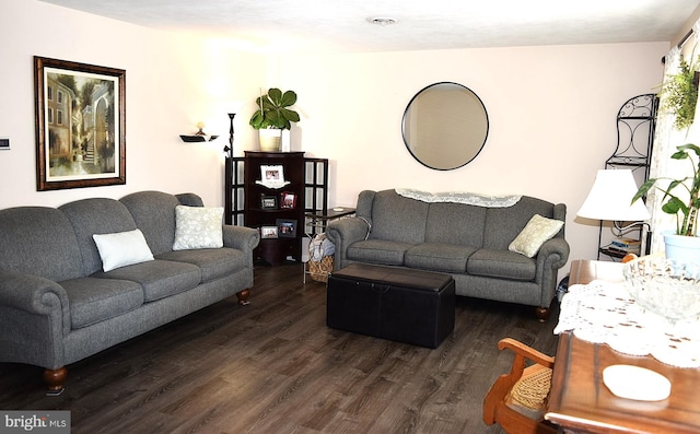 living room with dark wood-type flooring