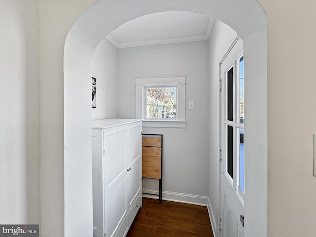 hallway with crown molding and dark wood-type flooring