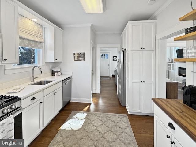 kitchen with white cabinetry, sink, appliances with stainless steel finishes, and wooden counters