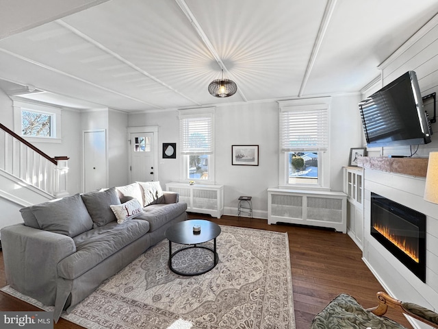 living room featuring dark hardwood / wood-style flooring and radiator heating unit