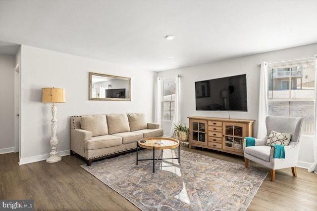 living room featuring hardwood / wood-style floors