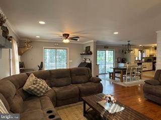 living room with ceiling fan, ornamental molding, a fireplace, and light hardwood / wood-style flooring