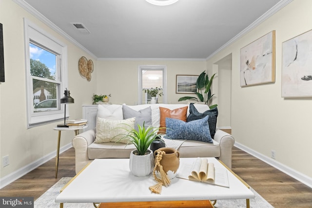 living room with crown molding and wood-type flooring