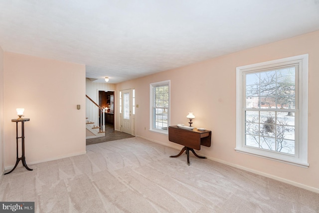 carpeted entrance foyer with plenty of natural light